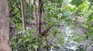  Plot – Exterior View View at Kottayi - for Sale