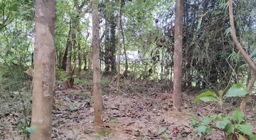 Plot Area in  Plot at Kottayi – for Sale