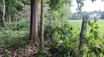  Plot – Exterior View View at Kottayi - for Sale