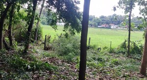  Plot – Exterior View View at Kottayi - for Sale