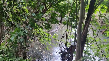  Plot – Exterior View View at Kottayi - for Sale