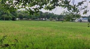  Plot For Sale in Kottayi