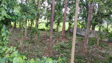  Plot – Exterior View View at Kottayi - for Sale