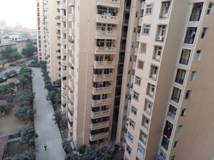 2 BHK Apartment – Exterior View View at Amrapali Silicon City, Sector 76 - for Sale