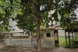  Plot For Sale in Delta I Greater Noida