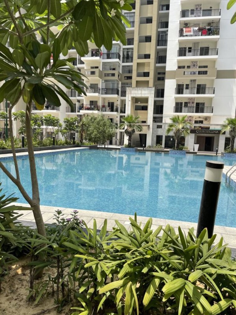 Swimming Pool, gulshan-bellina 2 Bedroom 1020 Sq.Ft. Apartment In Sector 16 Greater Noida Greater Noida 9694143