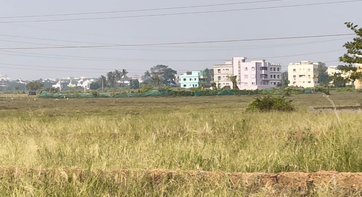 Plot For Sale in Patrapada