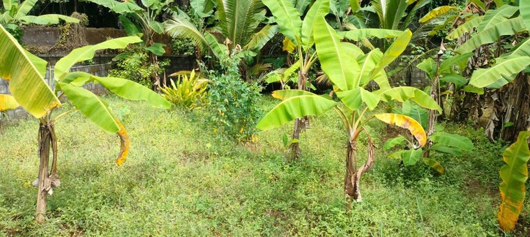 Garden, viyyur  2615 Sq.Ft. Plot In Viyyur Thrissur 9695792