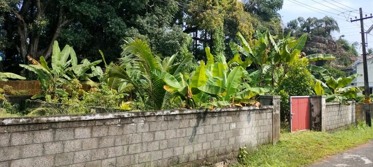 Garden, viyyur  2615 Sq.Ft. Plot In Viyyur Thrissur 9695792