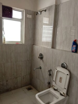 Bathroom in 2 BHK Apartment at DB Parkwoods, Kasarvadavali – for Rent
