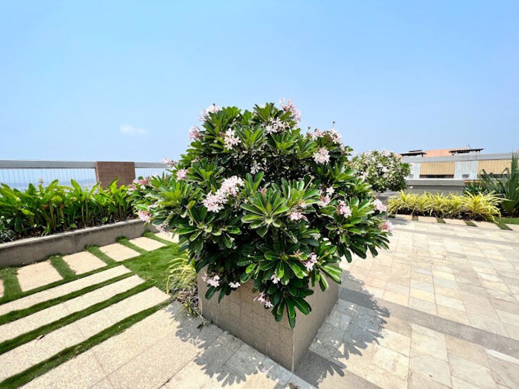 Terrace, adani-group-western-heights 3 Bedroom 1166 Sq.Ft. Apartment In Andheri West Mumbai 9696228