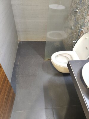 Bathroom in 2 BHK Apartment at Metro The Palms, Nerul – for Rent