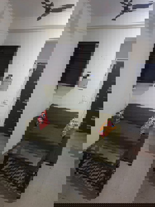 2 BHK 980 Sq.Ft. Apartment in Gaur City 6th Avenue