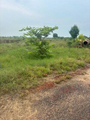  Plot For Sale in Barsana