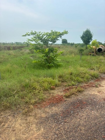  Plot For Sale in Barsana