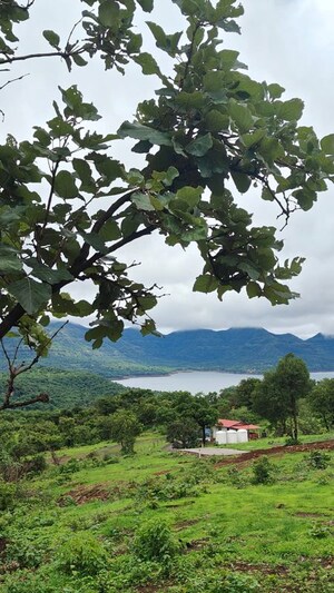  Land For Sale in Mulshi