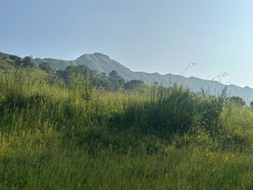 Plot Area in  Land at Velhe – for Sale