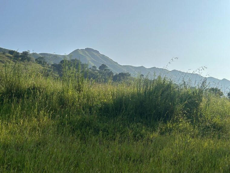 undefined, velhe Commercial Land 1 Acre In Velhe Pune 9701761