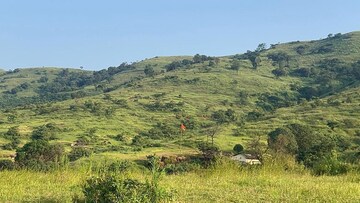 Plot Area in  Land at Velhe – for Sale