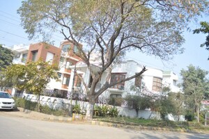 2 BHK Independent House For Rent in Sector 14