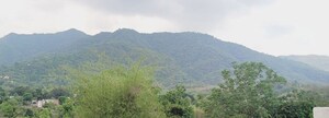  Plot – Garden View at Kalka - for Sale