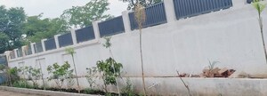  Plot – Exterior View View at Kalka - for Sale