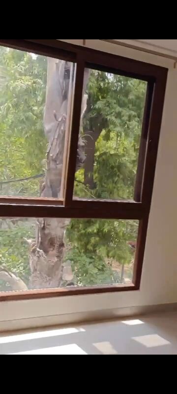 Balcony in 3 BHK Builder Floor at Lajpat Nagar 4 – for Rent