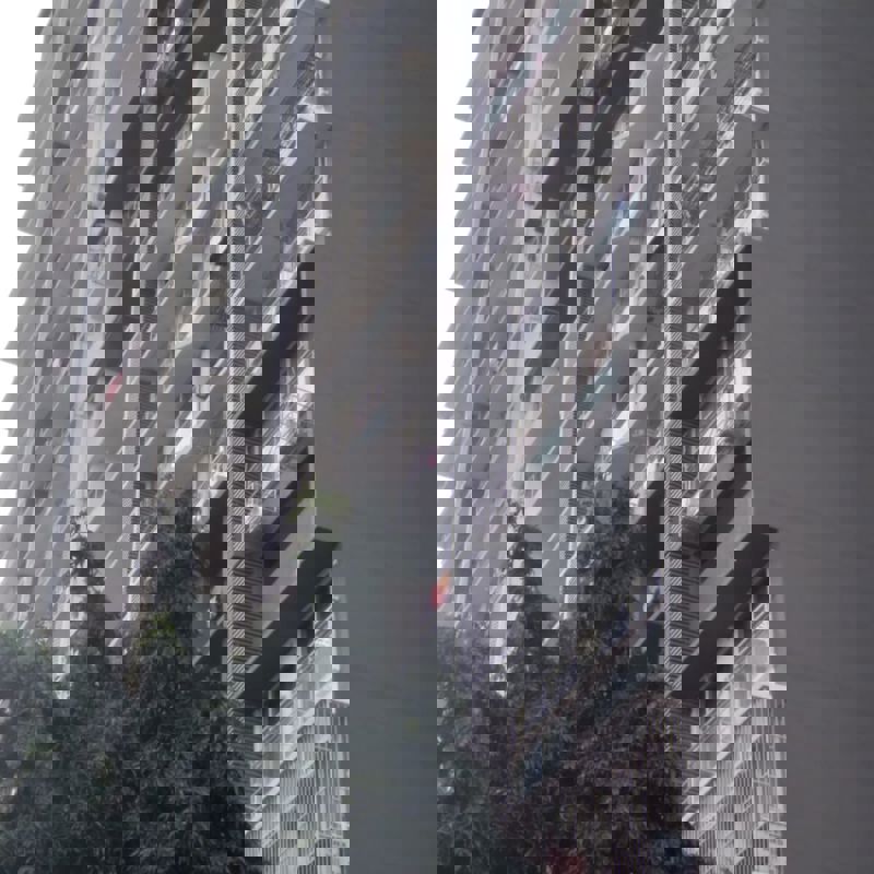 1.5 BHK + Extra Room 470 Sq.Ft. Apartment in Sugee Atharva