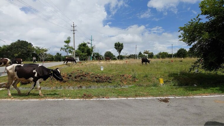 undefined, anugraha-evergreen  1500 Sq.Ft. Plot In Jigani Bangalore 9705196