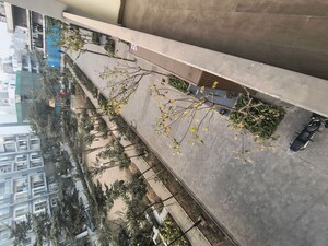 Balcony in 3 BHK Apartment at M3M Soulitude, Sector 89 – for Rent