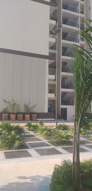 2 BHK Apartment For Rent in Stellar Okas Golf View, Sushant Golf City