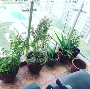 Balcony in 1 BHK Apartment at Megapolis Sparklet, Hinjewadi – for Sale