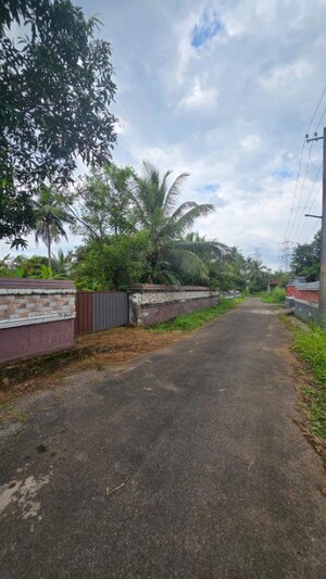  Plot – Exterior View View at Vellanikkara - for Sale