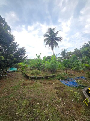  Plot For Sale in Vellanikkara