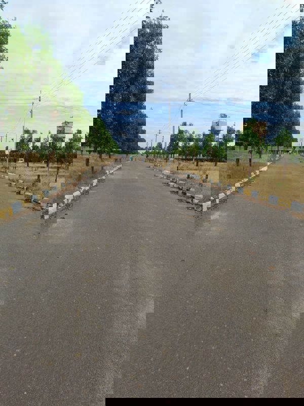 Plot For Sale in Pharma Green City