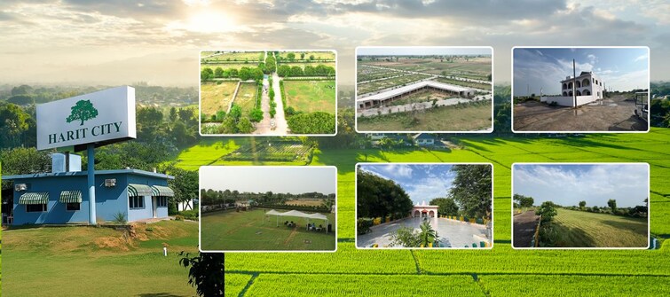 Cover Image, tappal  390 Sq.Yd. Plot In Tappal Aligarh 9706441