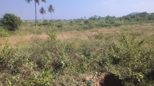  Plot For Sale in Hosur Krishnagiri rd