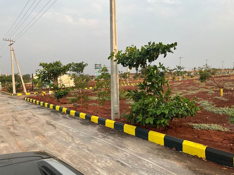 Garden, budhera  377 Sq.Yd. Plot In Budhera Hyderabad 9706674