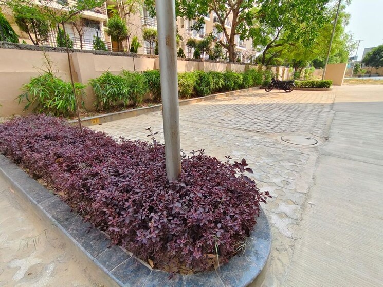 Balcony, tashee-capital-gateway 2 Bedroom 1445 Sq.Ft. Apartment In Sector 111 Gurgaon 9706708