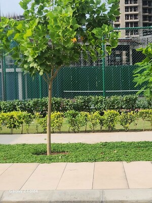 Balcony in 3 BHK Apartment at Godrej Nature Plus, Sohna Sector 33 – for Sale