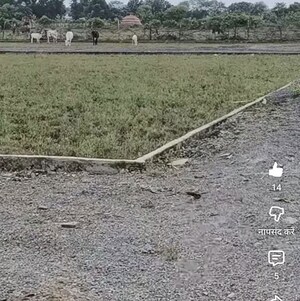 Plot Area in  Plot at Bagaha – for Sale