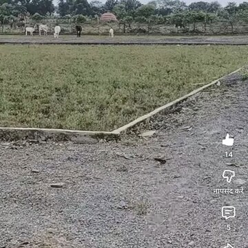 Plot Area in  Plot at Bagaha – for Sale