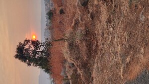  Plot – Garden View at Roopa Nagar - for Sale