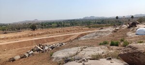  Plot For Sale in Mazidpur