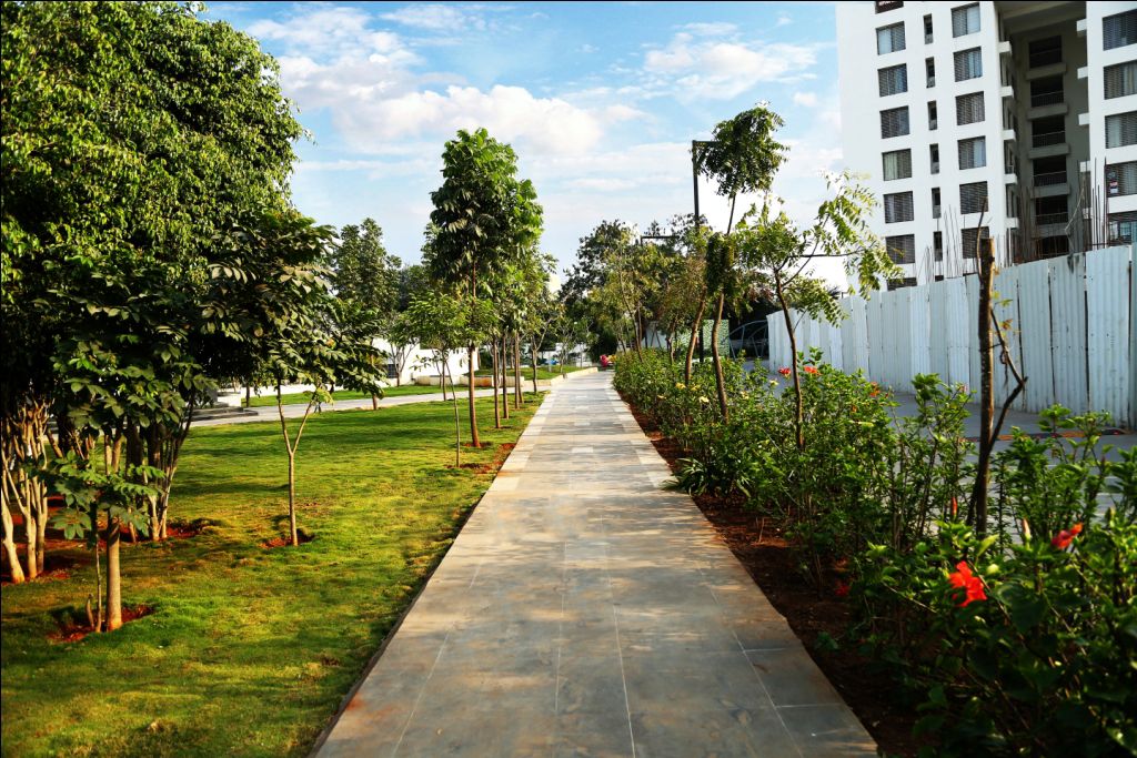 2 BHK Apartment For Rent in The Greater Ganga Panama