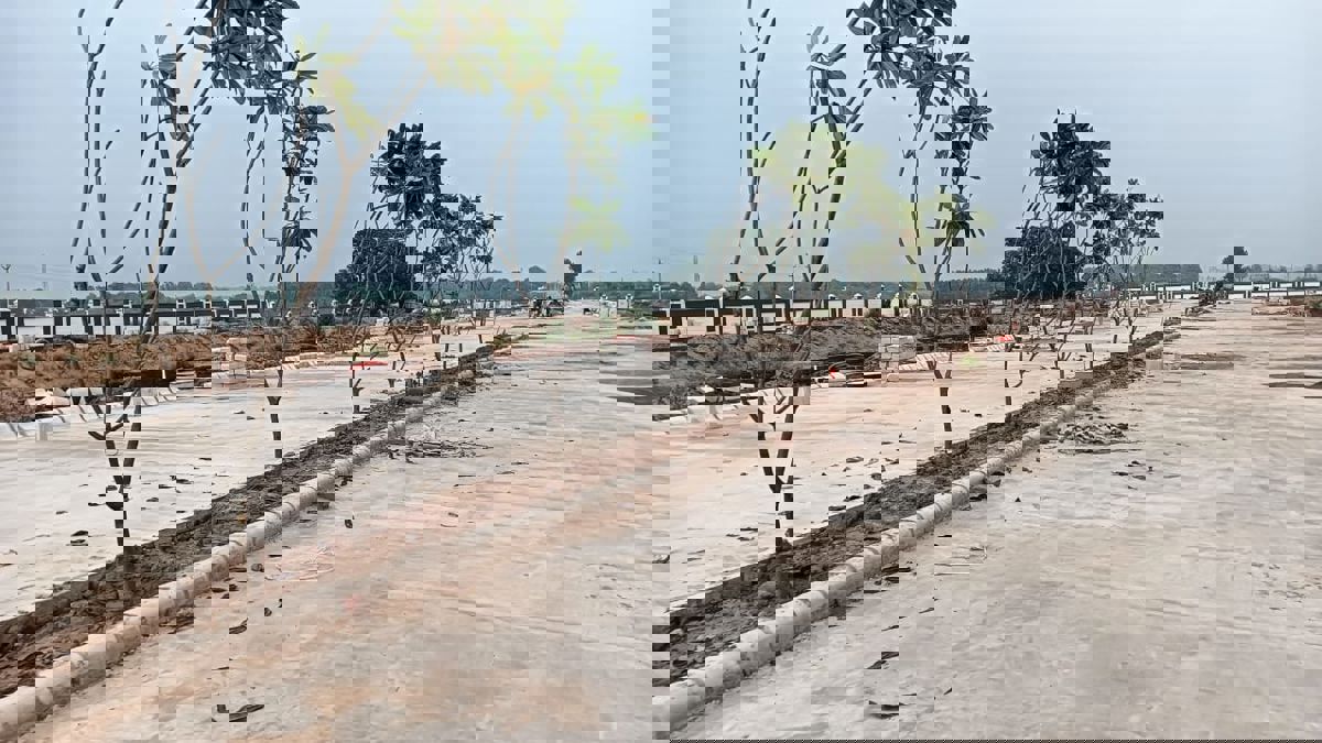 Plot For Sale in Sigma Residency