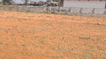 Plot For Sale in Tellapur