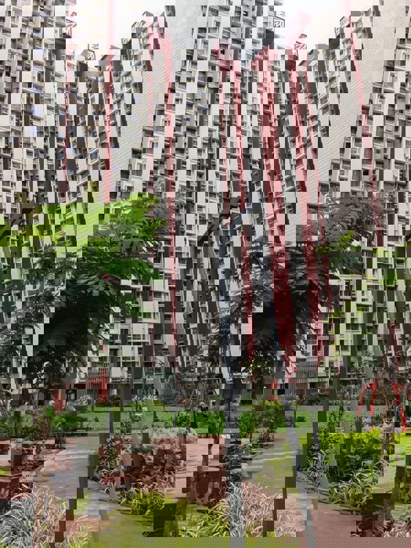 1 BHK Apartment For Rent in Dosti Greater Thane