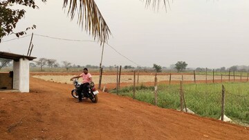 Plot Area in  Plot at Amleshwar – for Sale