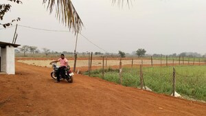 Plot Area in  Plot at Amleshwar – for Sale